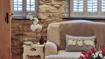 TV, fireplace, offices