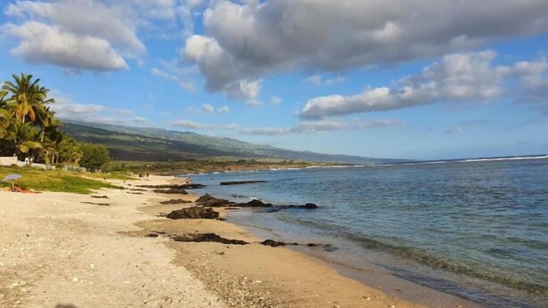 Una playa con cielos despejados, palmeras y costa rocosa.