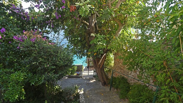 A stone staircase leading up to a gate, surrounded by lush greenery and flowering plants. - House VERONIKA,sea views, charming terrace,tranquility and natural beauty. (Drvenik Veliki)