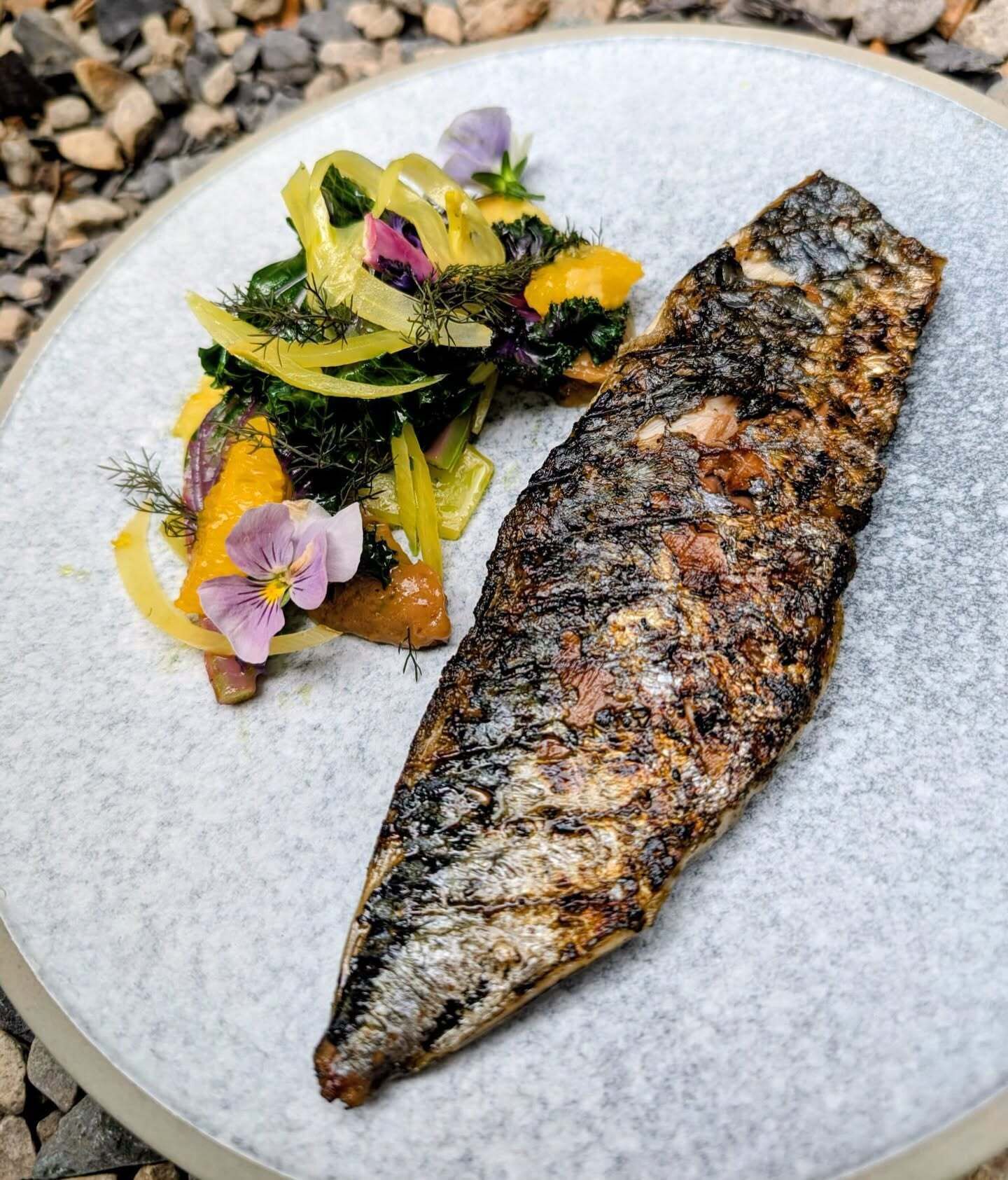A grilled fish with a side of vegetables on a plate.