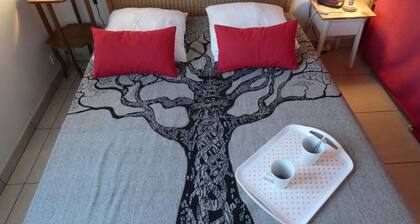 Maison lumineuse 37mÂČ Ă 50m de la plage - 4 pers - Animaux admis