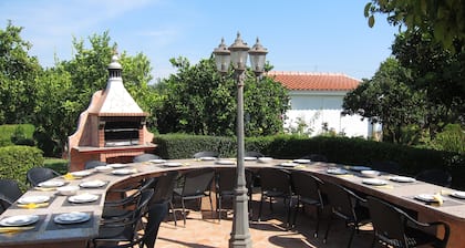 CASA DA HORTA