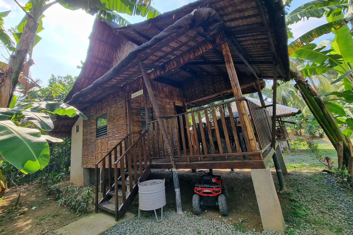 A rustic wooden structure with a staircase leading to a covered porch, surrounded by lush greenery and banana trees.