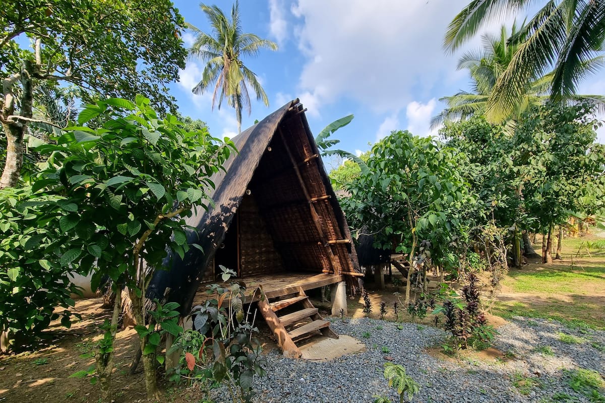 A thatched-roof hut surrounded by lush greenery and a gravel path.