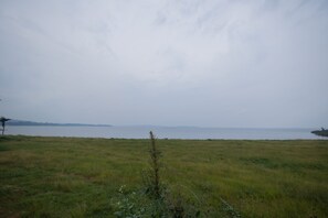 Alberca