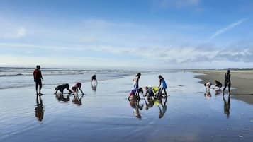Playa en los alrededores