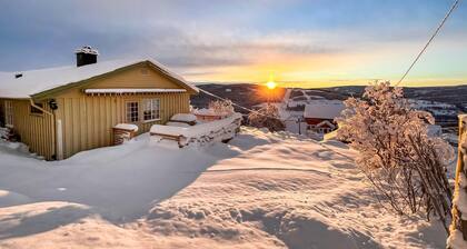 Amazing home in Svingvoll