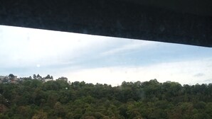 A view from a window overlooking a dense forest with a clear sky.