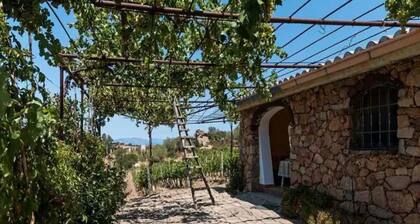 Casa di campagna Tiscali