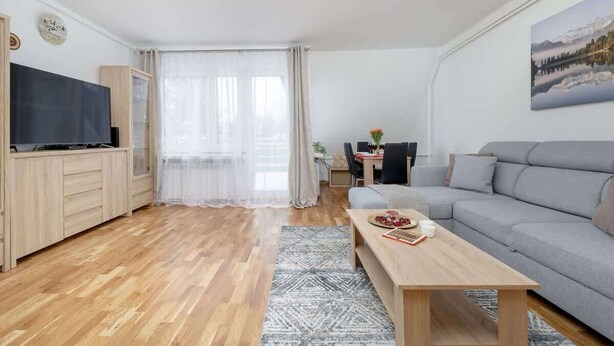 A modern living room with a grey sofa, wooden coffee table, and a TV on a cabinet.