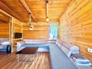 Comfort House | Living area | 32-inch LCD TV with cable channels - Magdalena House Ada Bojana (Ulcinj)