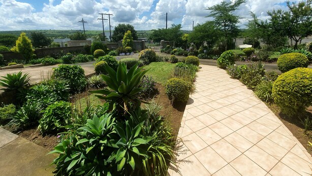 A garden pathway with various plants and a clear sky.