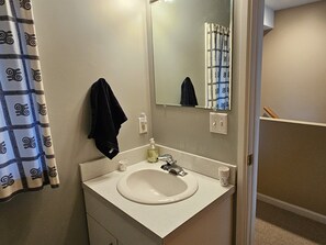 Shower, hair dryer, towels - Two bedroom + loft near Lake Leelanau. Fire pit, W/D, WIFI (Lake Leelanau)