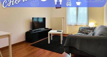 #Lechoux Appartement 3 chambres Mulhouse centre ville
