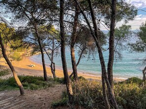 A beach with trees and a clear view of the sea.