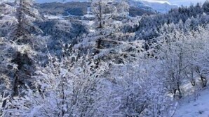 A snowy landscape with trees and mountains in the background. - Résidence Le Rami Les Coches - La Plagne (La Plagne-Tarentaise)