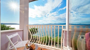 Vista desde la propiedad