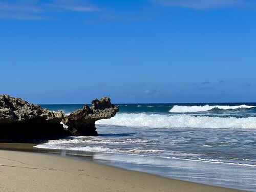 Private tropical home with pool! Short walk to beach, best restaurants, and spa!