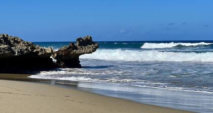 Private tropical home with pool! Short walk to beach, best restaurants, and spa!