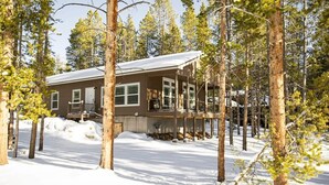 Eksteriør