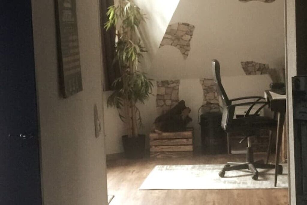 Une pièce avec un mur en pierre, une plante en pot, une chaise et un bureau.