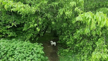 Departamento | Áreas de la propiedad