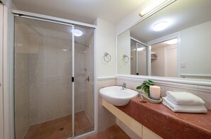 Regadera, toallas, papel de baño 