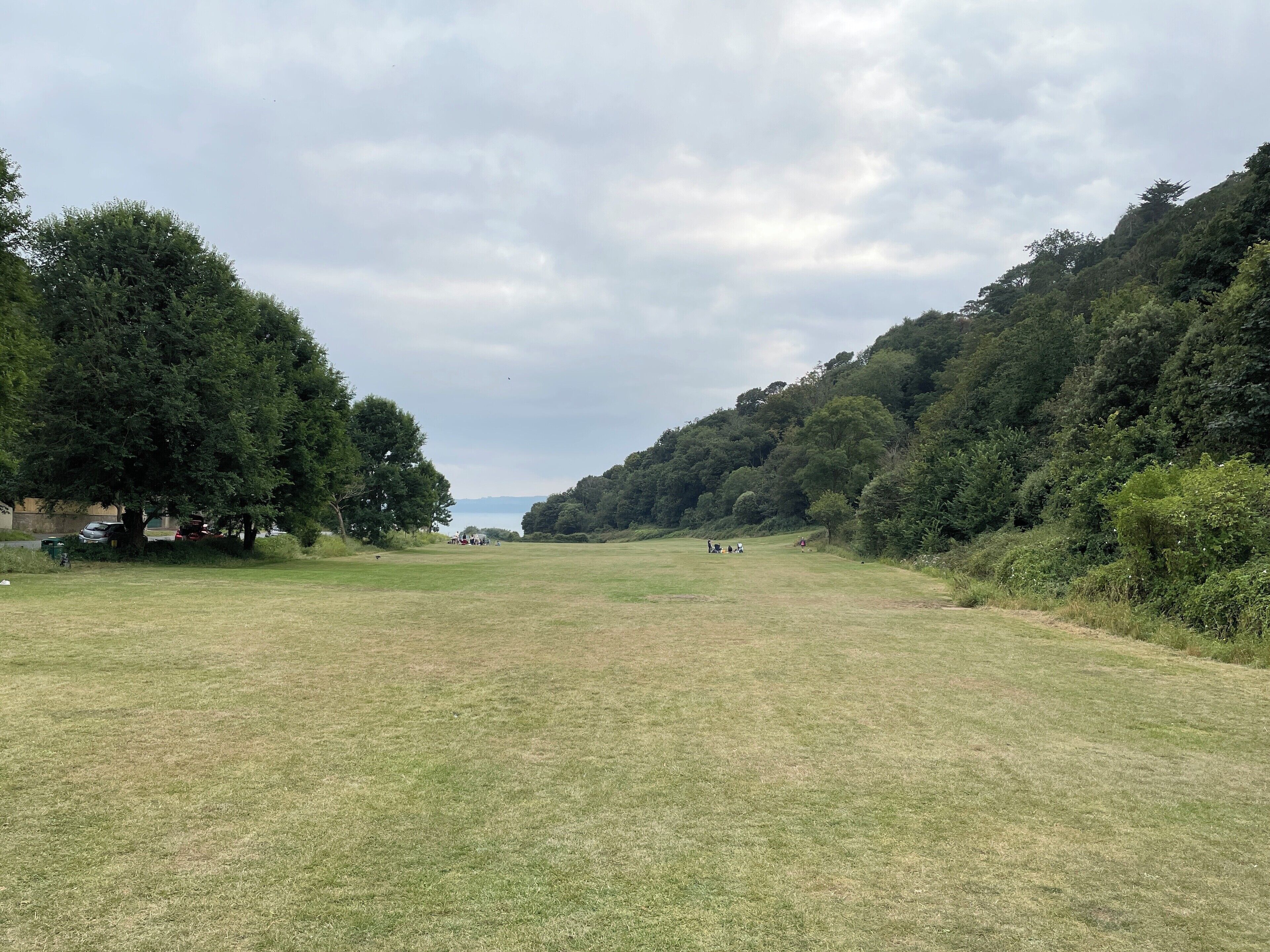 A grassy field with trees and hills in the background.