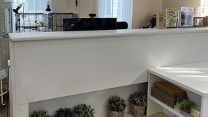 Una habitación con techo blanco, un equipo de aire acondicionado, un reloj, una estantería con plantas y una ventana con cortinas.