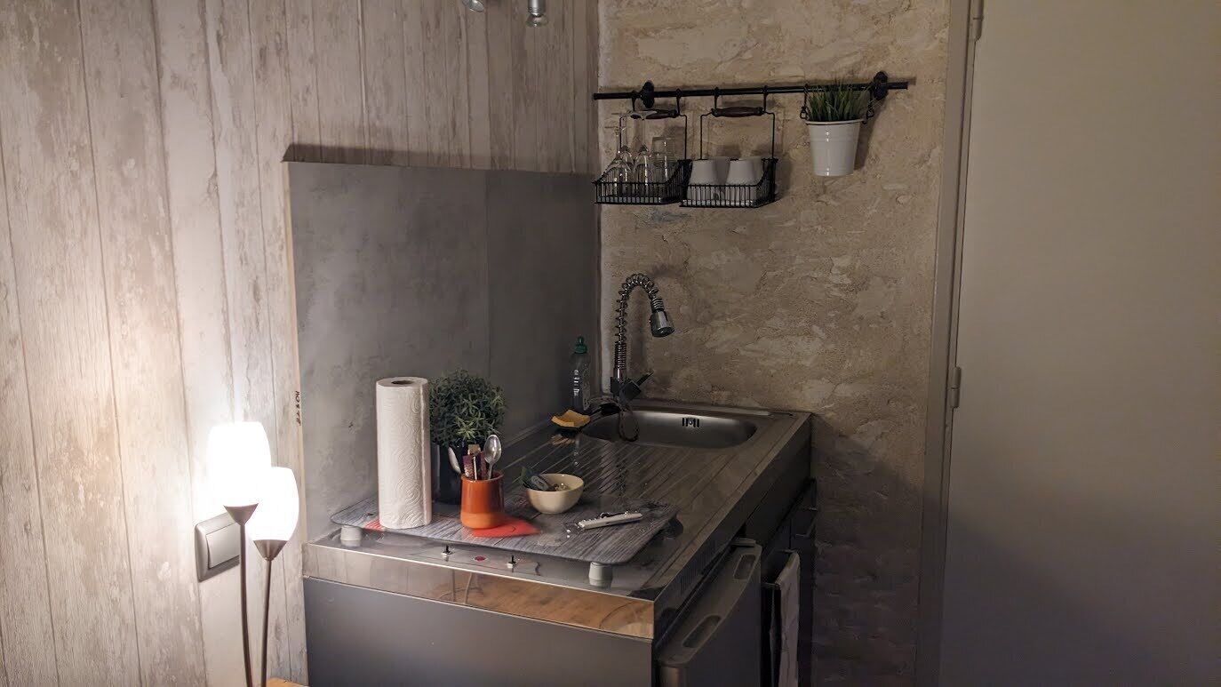 A kitchen with a wooden countertop, a sink, and a hanging plant.