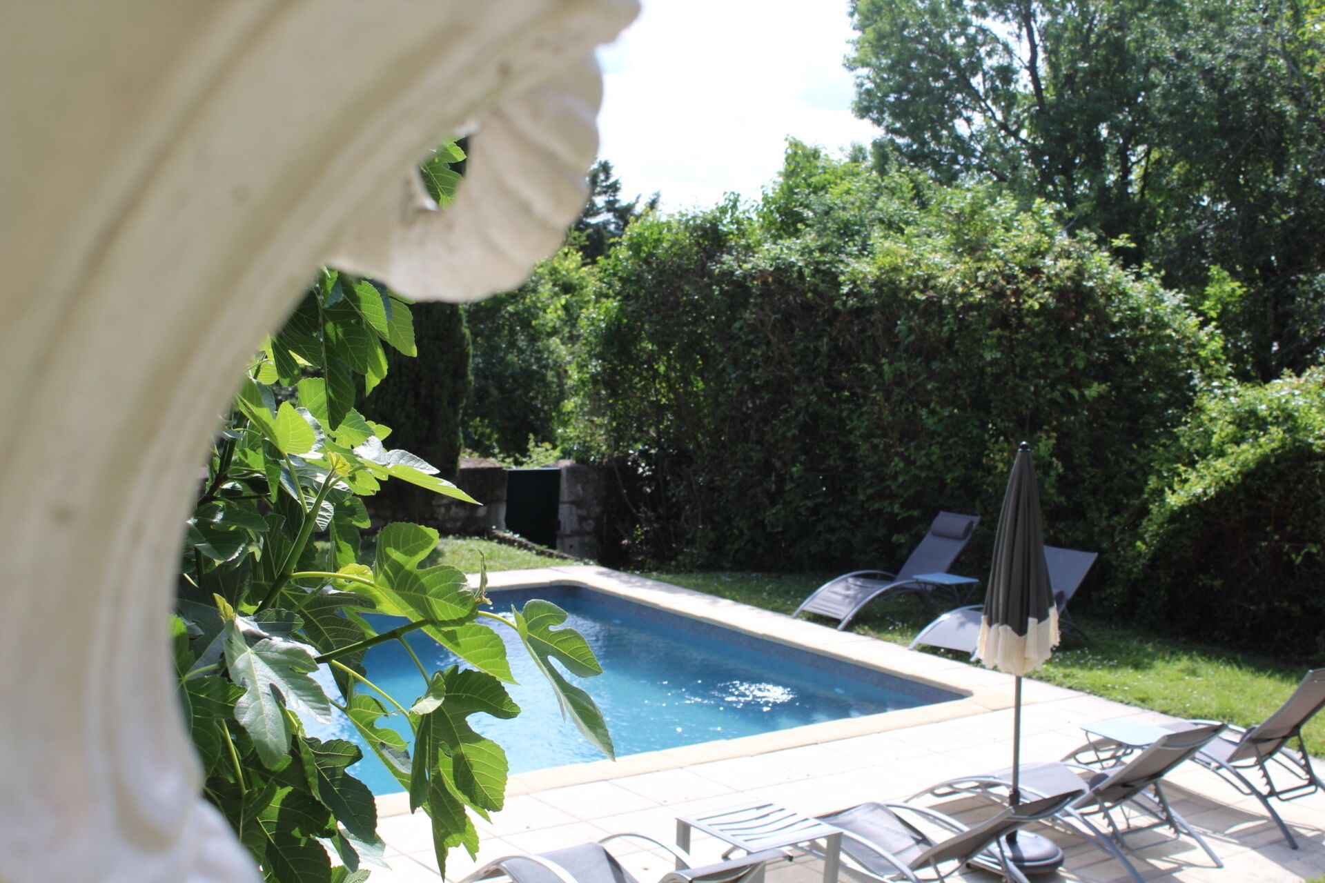 Seasonal outdoor pool, open 10:00 AM to 8:00 PM, pool umbrellas