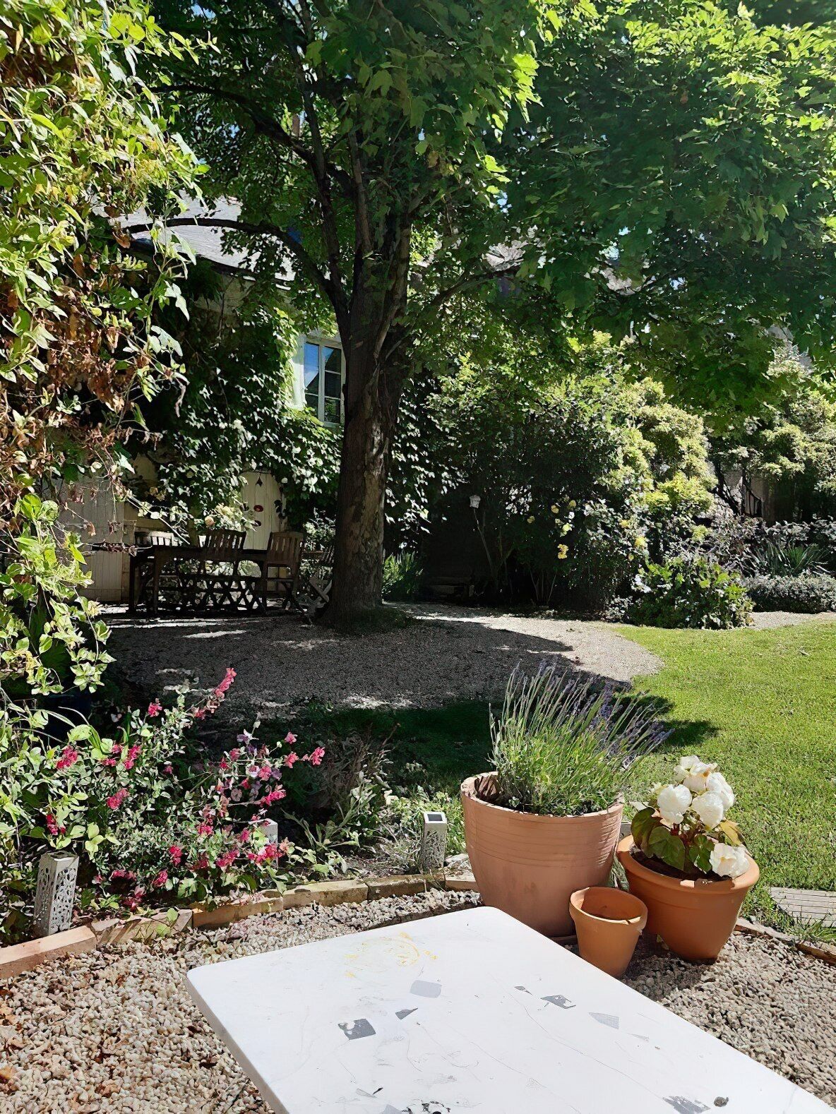Suite Superior, bagno in camera, vista giardino (Charmante) | Esterni