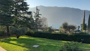 Zona verde con árboles y una vista distante de una montaña.