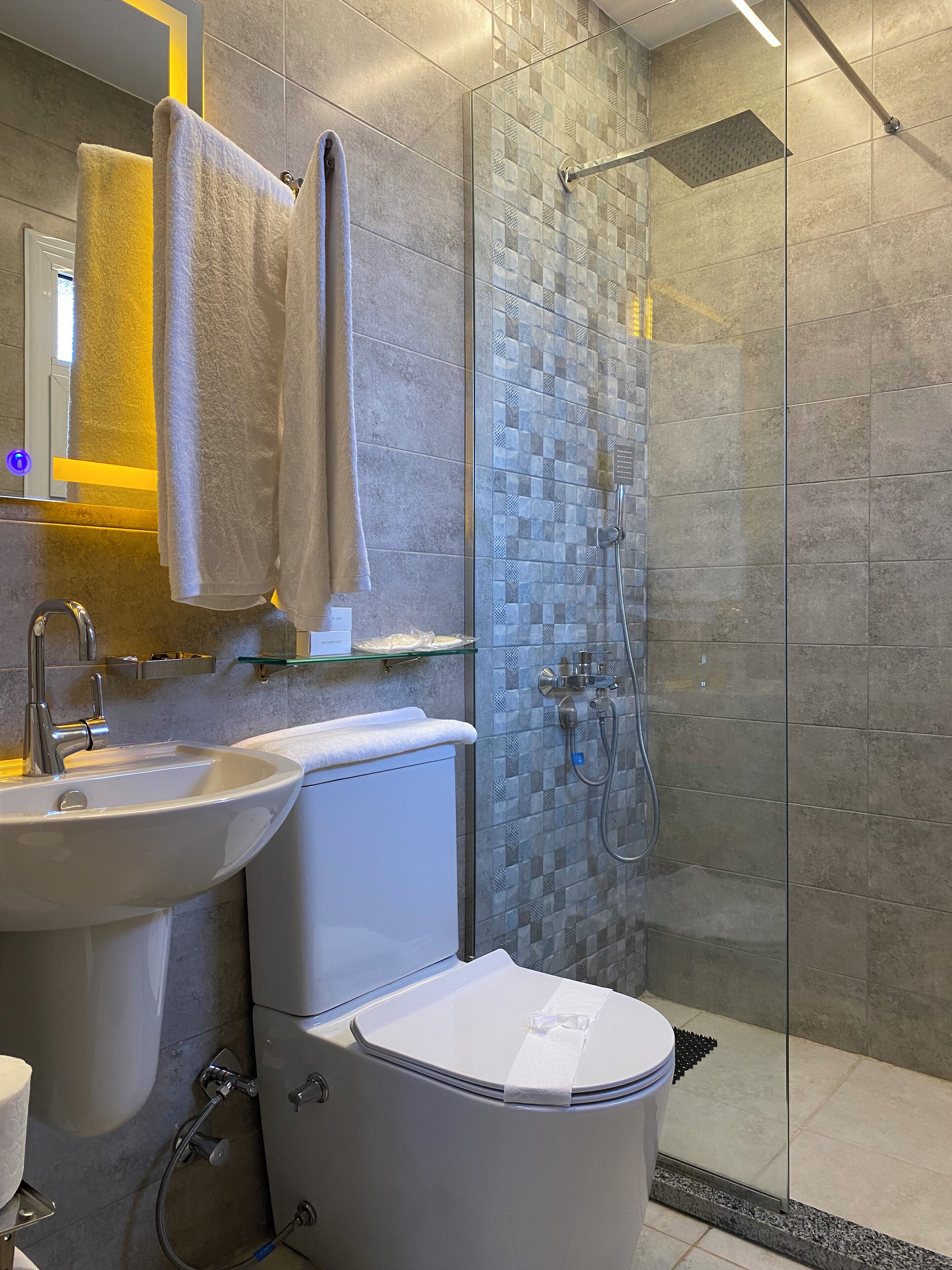 A modern bathroom with a glass shower enclosure, a sink, and a toilet.