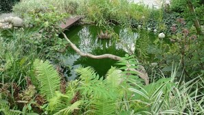 A pond surrounded by lush greenery and a wooden bridge. - Ehemalige Bibliothek: Küche Kamin Netflix Hofladen (Steinhöfel)