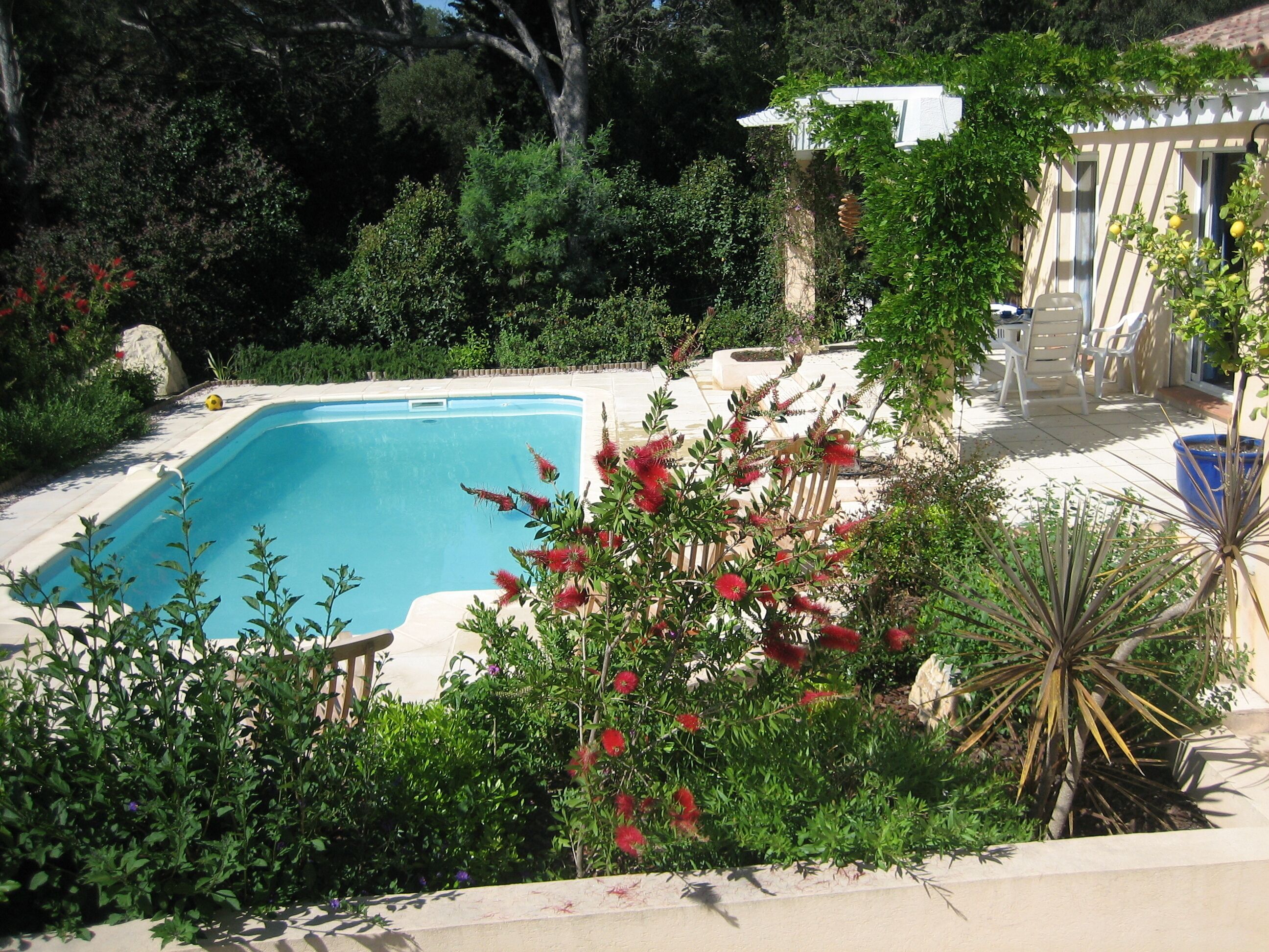 A swimming pool surrounded by lush greenery and a patio area with outdoor furniture.