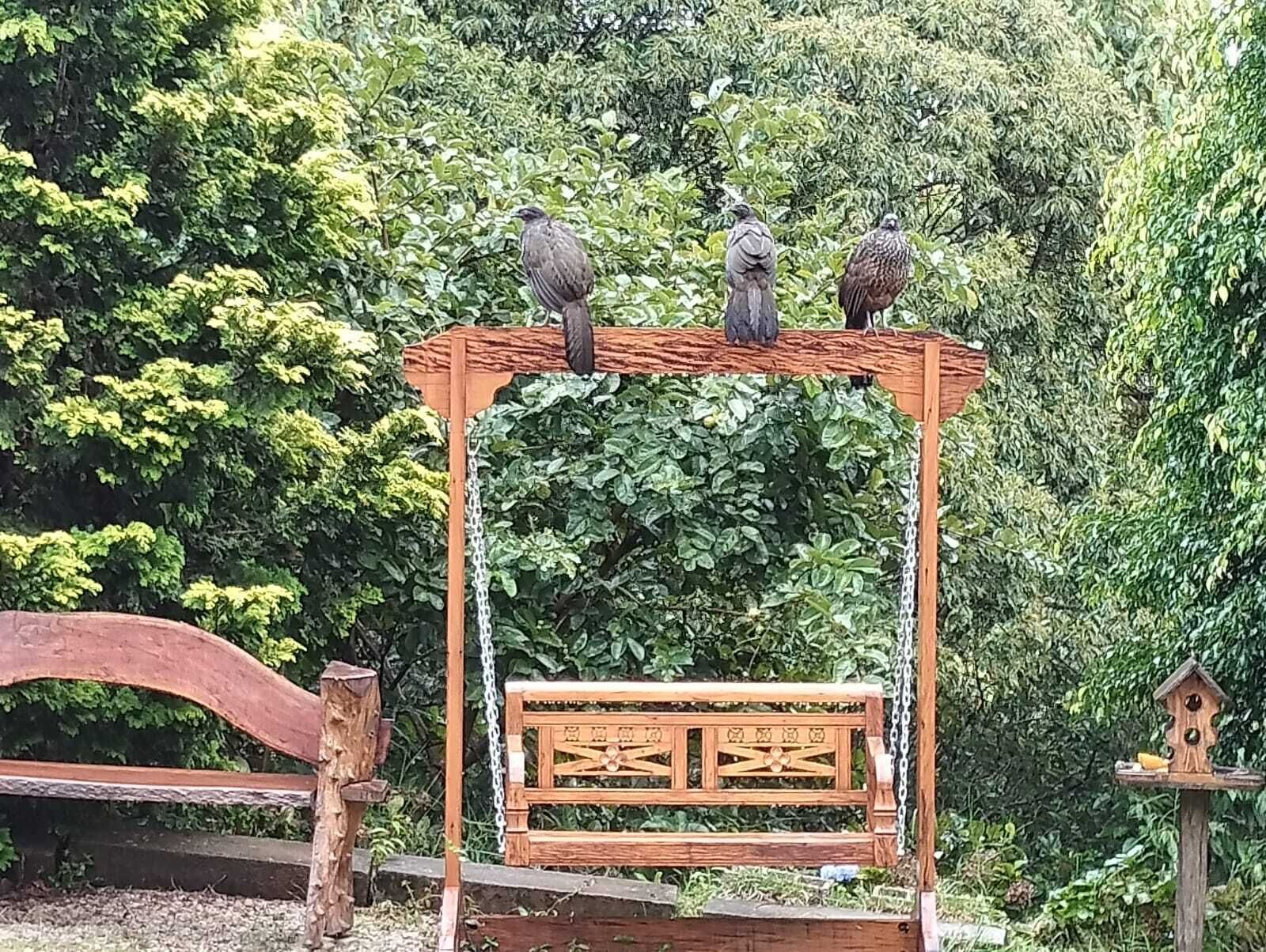 A wooden birdhouse with a hanging perch and a decorative wooden bench below.