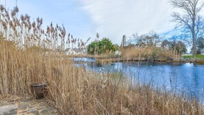 A pond with tall reeds, a stone pathway, and a tree in the background. - Beachgrass Bungalow by Seaside Vacations & Sales (Chincoteague Island)