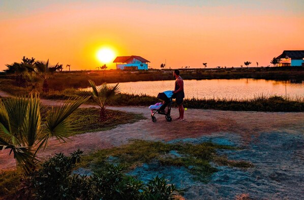 Escena de atardecer con una persona empujando un cochecito cerca del agua, rodeado de vegetación y edificios.