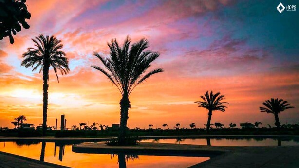 A sunset view with palm trees and a calm water body. - HOP Canc n Hermosa Casa de Playa (El Carmen)