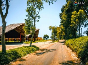 House | 2 bedrooms - HOP Canc n Hermosa Casa de Playa (El Carmen)