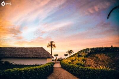 HOP Aruba Exclusiva Oasis y Playa en Chincha