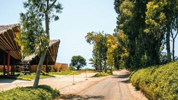 Villa | 3 bedrooms, Internet