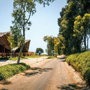 Villa | 3 chambres, Internet