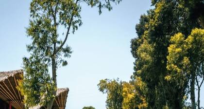 HOP Buzios Exclusiva Oasis y Playa en Chincha