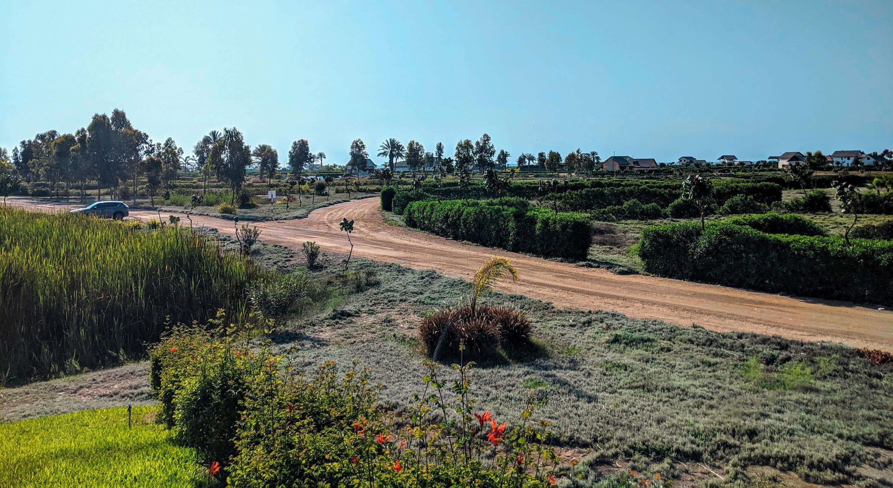 Un paisaje rural con un camino de tierra, campos verdes y árboles dispersos.
