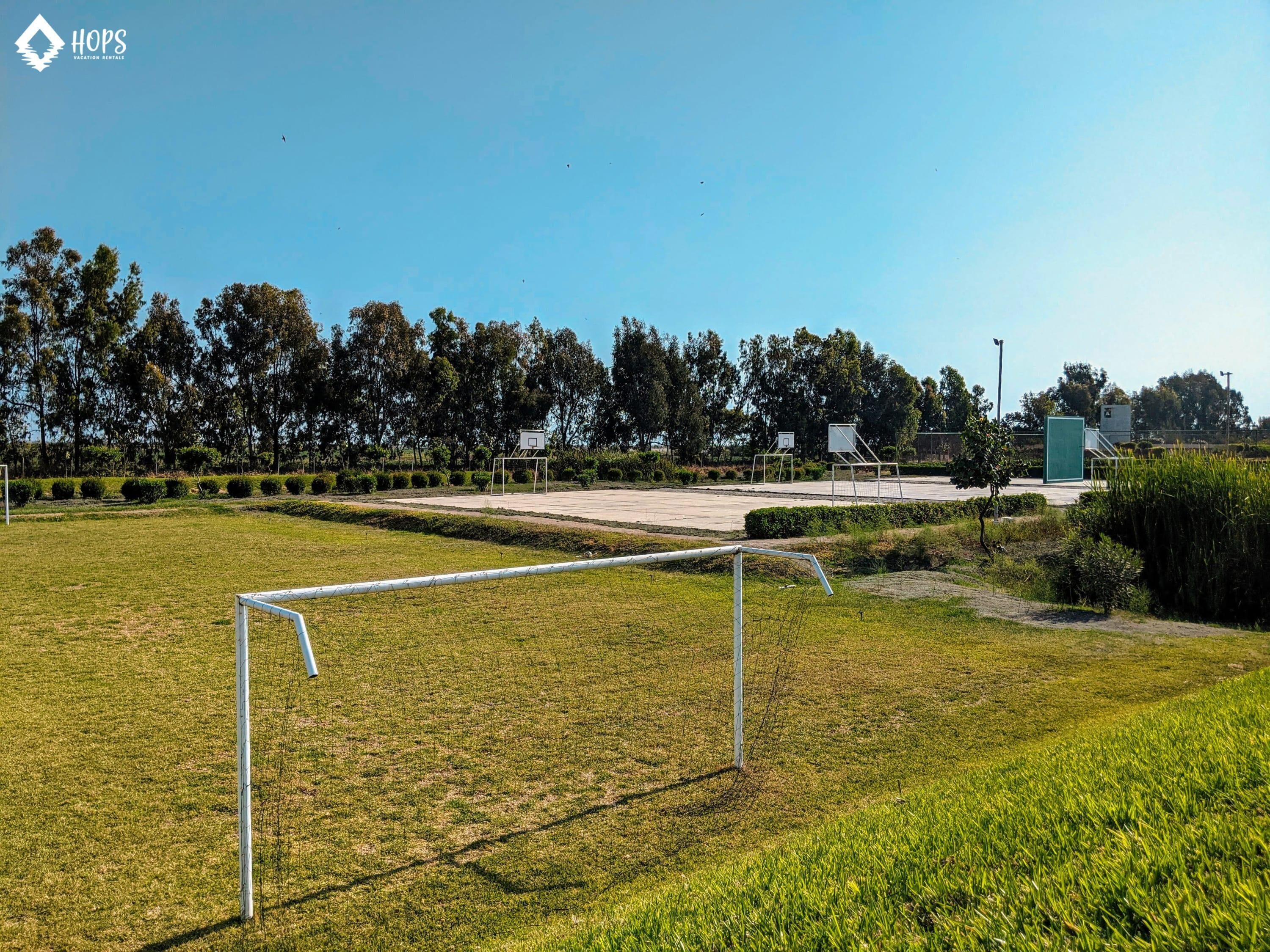 Ein Sportplatz mit einem Tor, umgeben von Gras und Bäumen.