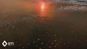 A beach with waves and a sunset. - HOP Solarena Hermosa Casa Playa y Campo (Tambo de Mora)