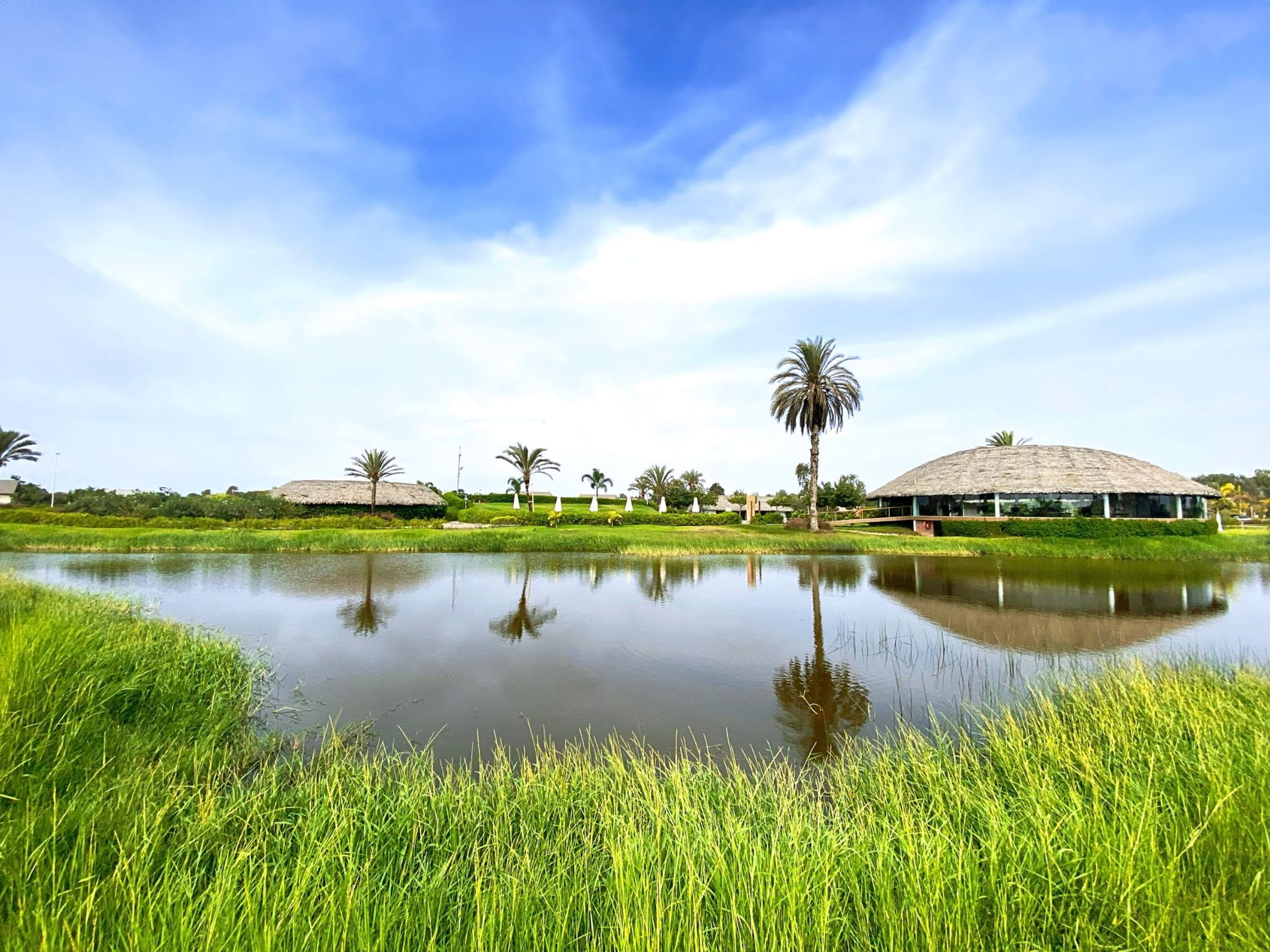 A serene landscape with a pond reflecting palm trees and thatched-roof buildings, surrounded by lush greenery.
