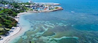 Apartamento con piscina frente a la playa 2 habitaciones  cerca de todo céntrico